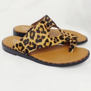 franco sarto ginny sandal leopard